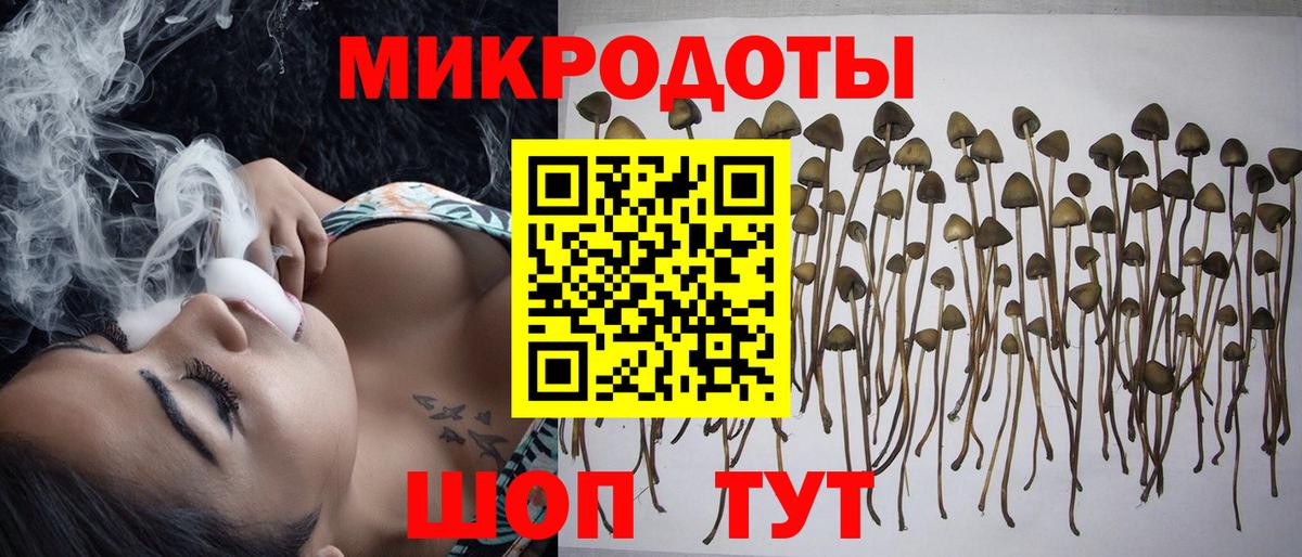 Псилоцибиновые грибы мухоморы Кудрово